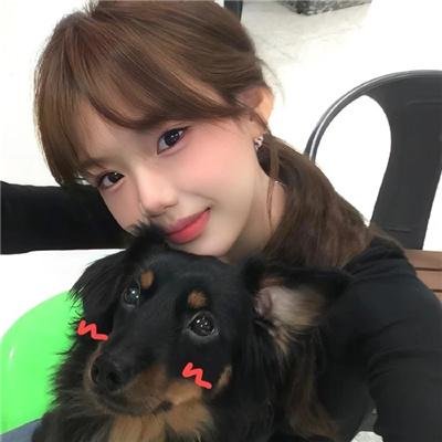 站立的动物故事